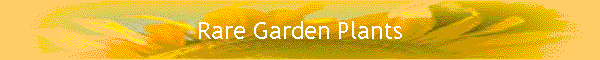 Rare Garden Plants