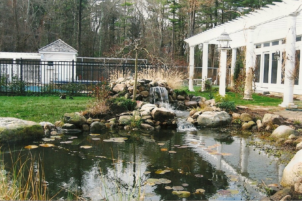 Completed water garden